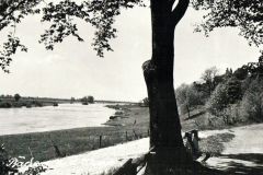 Bischoff_Klaus-7