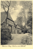 Suchanke_Ulf-8