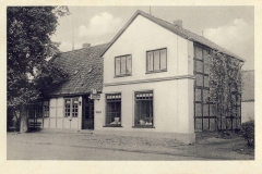 Plate_Hermut-27