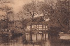 Wolters_Volker-1135