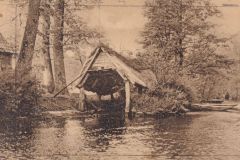 Wolters_Volker-1254
