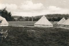 neddenaverbergen-22