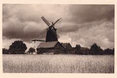 holtum-geest-19
