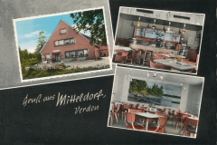 mitteldorf-1