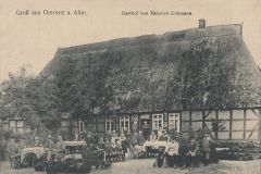 otersen-3