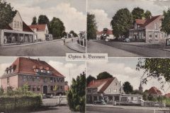 Wolters_Volker-1167
