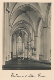 dom-228