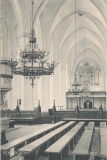 dom-233