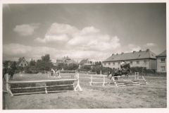 niedersachsenhalle-24