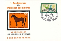 niedersachsenhalle-25