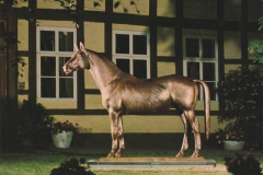 von-Wienskowski_Margarethe-194