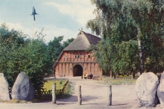 sachsenhain-85