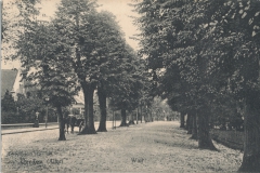 johanniswall-11